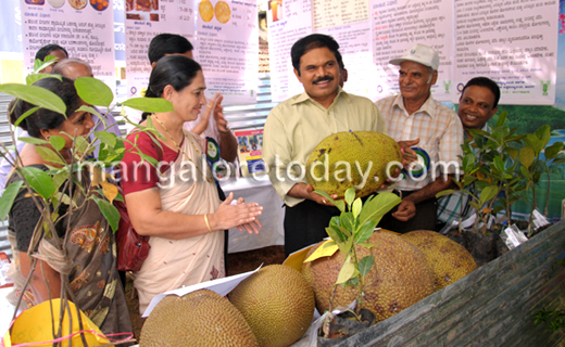 Jack Fruit Mela